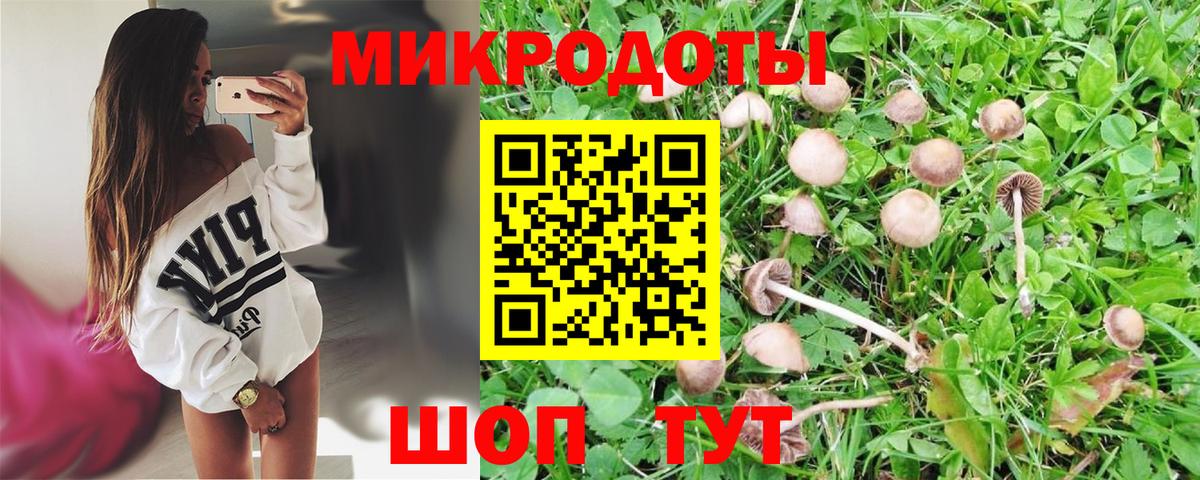 Галлюциногенные грибы GOLDEN TEACHER  Вход с VPN  Сегежа 