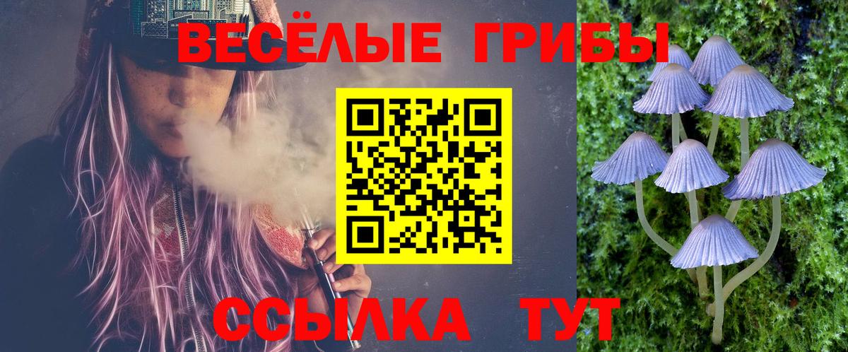 Псилоцибиновые грибы Cubensis Сегежа